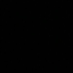 Meet your Posher, Allie